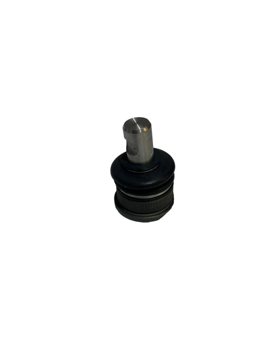 Pallonivel Ligier Xtoo-Ambra–Nova